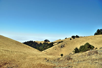 Scenic view of desert against clear blue sky