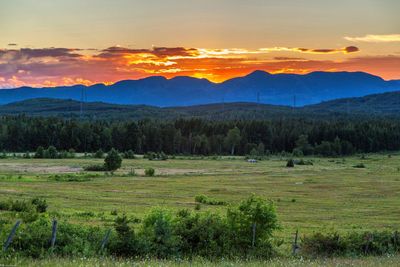 Scenic view of field against sky during sunset