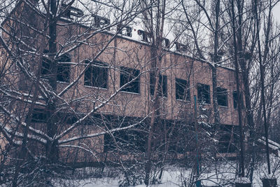 Bare tree in abandoned building during winter
