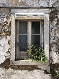 Low angle view of window of old building