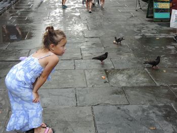 Side view of birds on footpath by canal