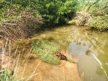 High angle view of a lake