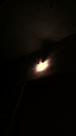 Low angle view of moon at night