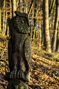 Close-up of tree trunk in forest
