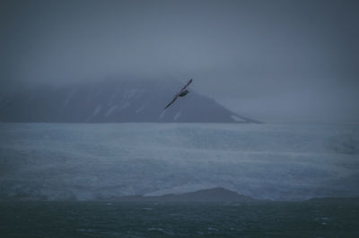 Silhouette bird flying over sea against clear sky