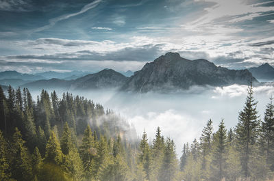 Panoramic view of trees and mountains against sky