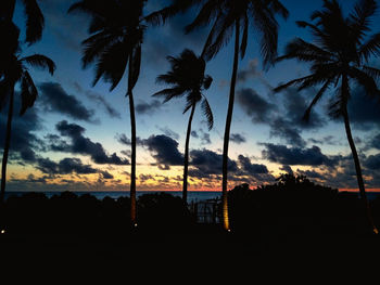 Silhouette palm trees against sky during sunset