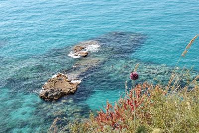 High angle view of rocks in sea