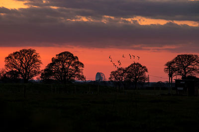 Silhouette trees on field against orange sky