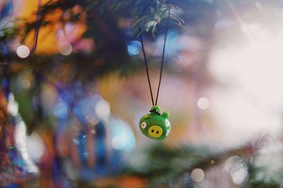 Close-up of christmas ornament hanging on tree