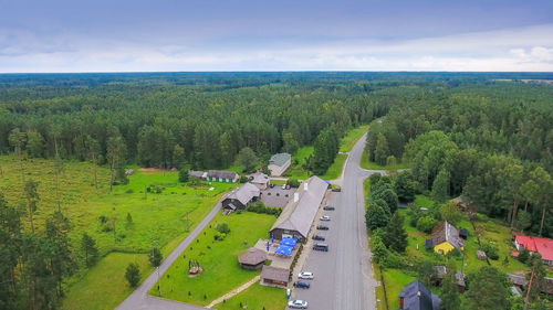 High angle view of road amidst plants against sky