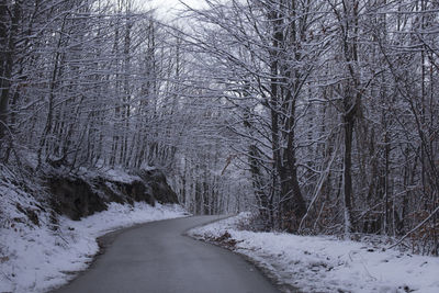 Snow covered road amidst trees during winter