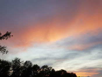 Low angle view of trees against dramatic sky