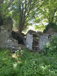 View of old ruin building