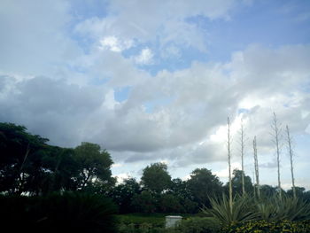 Scenic view of landscape against cloudy sky