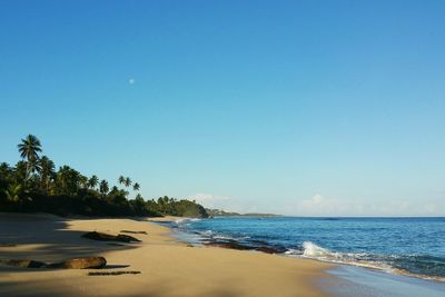 Scenic view of beach and sea against blue sky