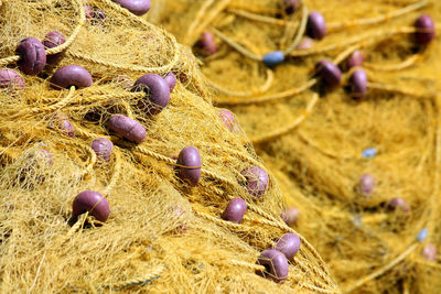 Close-up of yellow fishing net