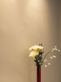 Close-up of yellow flower vase against wall