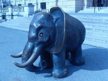 elephant