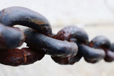 Close-up of rusty chain