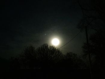 Low angle view of silhouette trees against sky at night