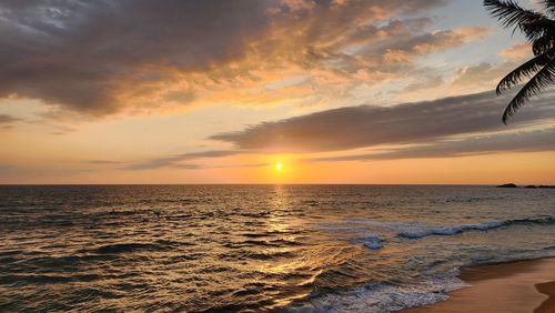 sea