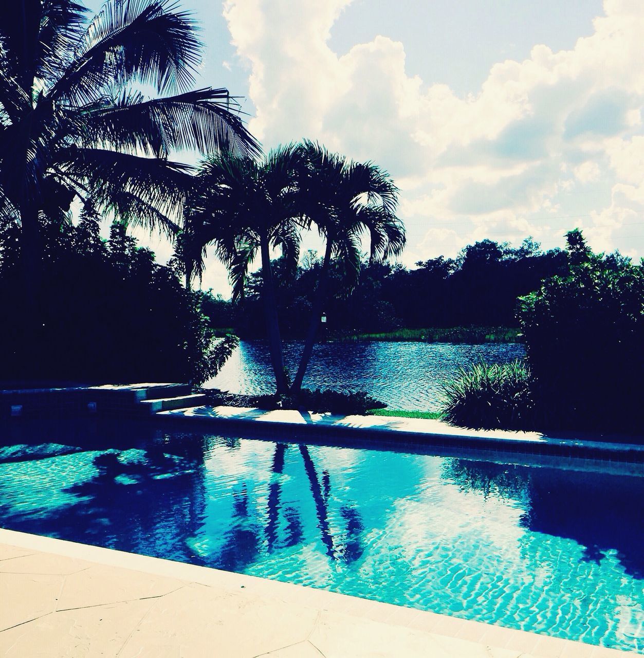 water, tree, sky, reflection, tranquility, cloud - sky, tranquil scene, lake, scenics, beauty in nature, nature, cloud, palm tree, swimming pool, idyllic, outdoors, river, silhouette, no people, calm