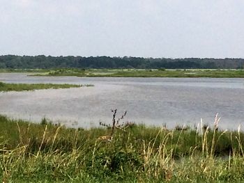 Scenic view of lake against clear sky