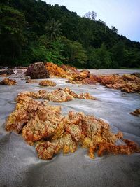 Scenic view of rocks by sea against sky
