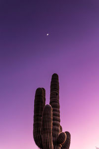 Low angle view of woman standing against sky