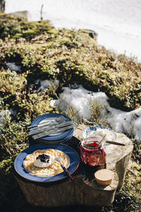 Pancake served in plate kept by preserves on log during sunny day