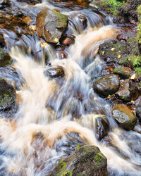 View of waterfall in forest