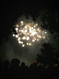 Illuminated firework display at night