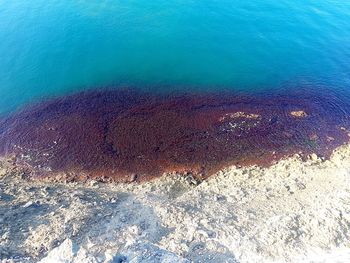 High angle view of beach