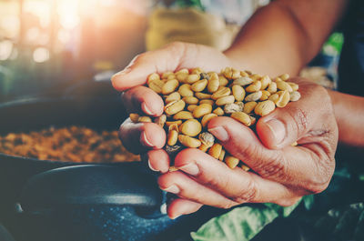 Close-up of hand holding berries