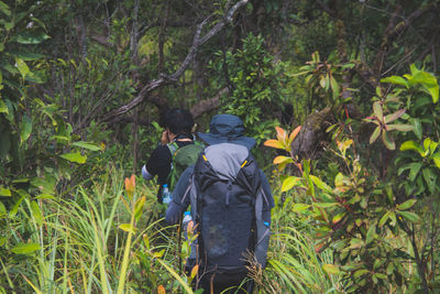 Rear view of people walking in forest