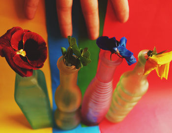 Close-up of red flowers