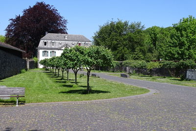 Trees and plants in garden against clear sky