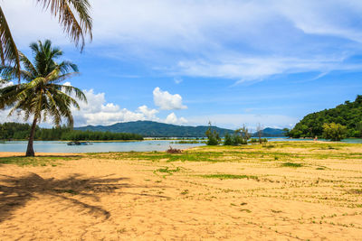 Scenic view of beach against sky