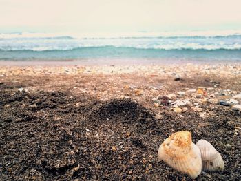 Close-up of sand on beach against sky