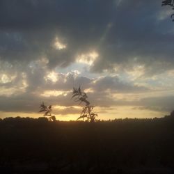 Scenic view of landscape against cloudy sky