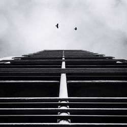 Low angle view of bird flying against sky