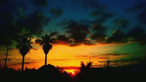 Silhouette of trees at sunset