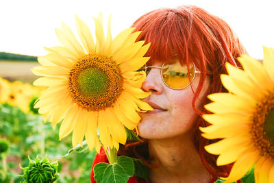 Close-up of sunflower