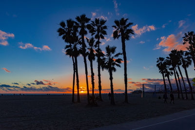 Silhouette palm trees on beach against sky during sunset