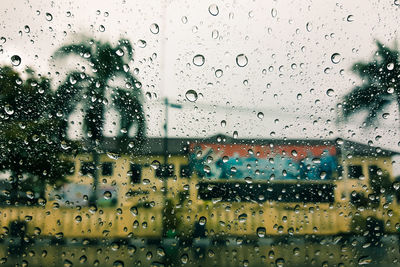 Raindrops on glass window