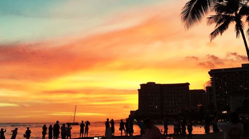 Silhouette of people on beach during sunset