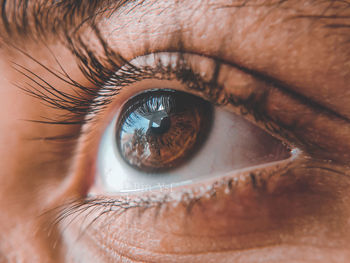 Extreme close-up of human eye