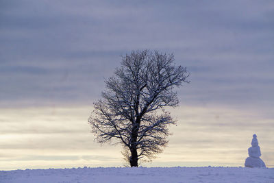 Bare tree on snow covered field against sky