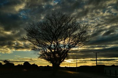 Silhouette of bare trees against cloudy sky